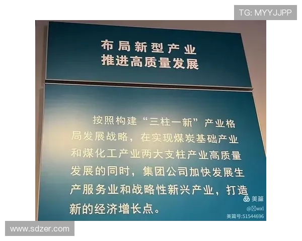 江西企业家创新引领下的新兴产业发展与社会责任担当探索 江西企业家创新引领下的新兴产业发展与社会责任担当探索